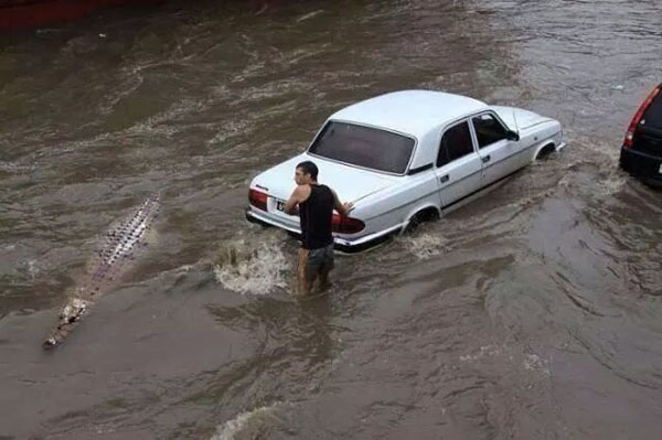 The dude who thought his car would make it through.