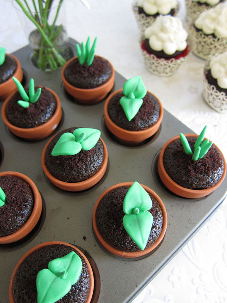 Sprout Cupcakes