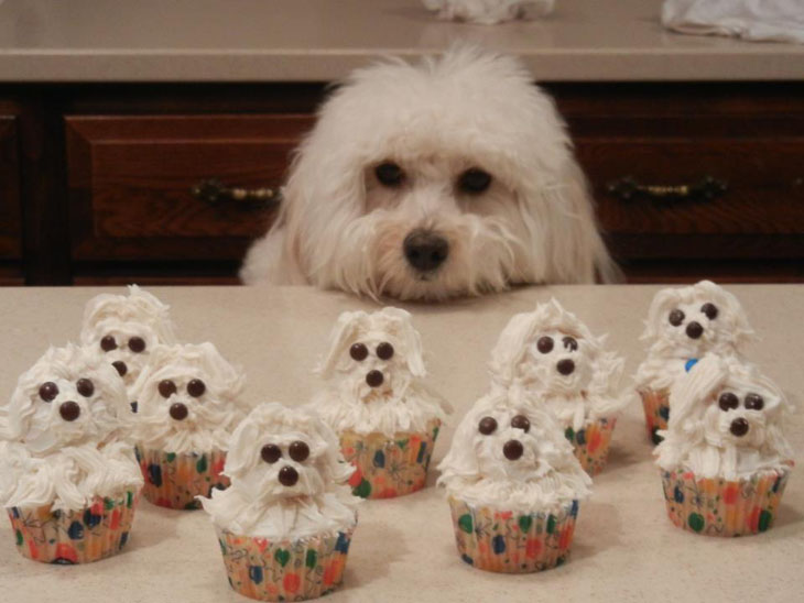 Puppy Cupcakes