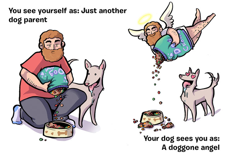 What You Think Of Yourself vs What Your Dog Thinks About You.