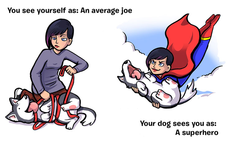 What You Think Of Yourself vs What Your Dog Thinks About You.