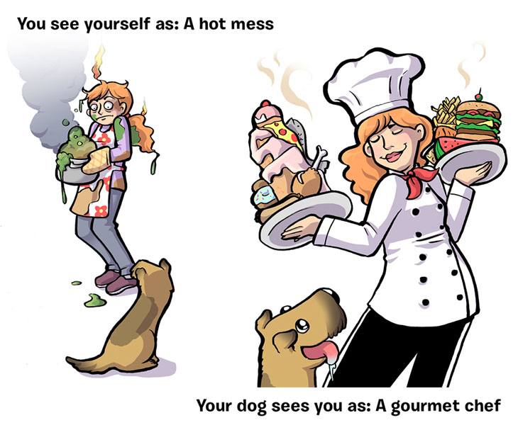 What You Think Of Yourself vs What Your Dog Thinks About You.