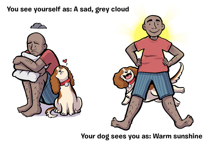 What You Think Of Yourself vs What Your Dog Thinks About You.