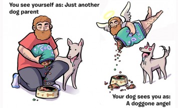 Don’t Know What You Think Of Yourself, But This Is What Your Dog Thinks About You.