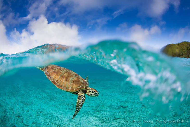 Zamami Island Locals