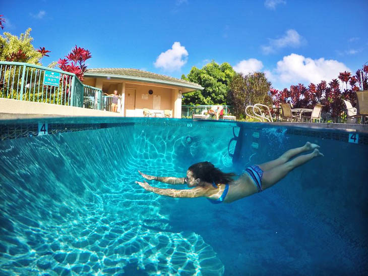 Underwater World In Swimming pool