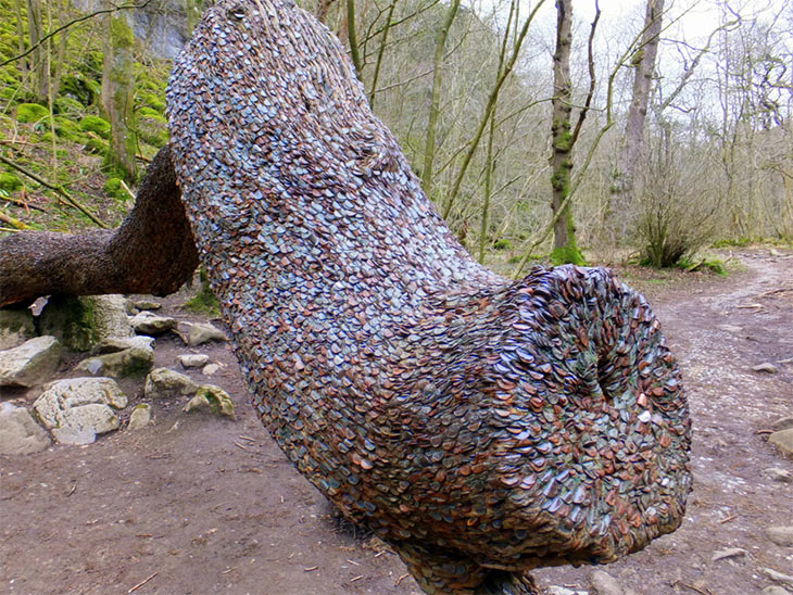 Coins hammered into a log for good luck