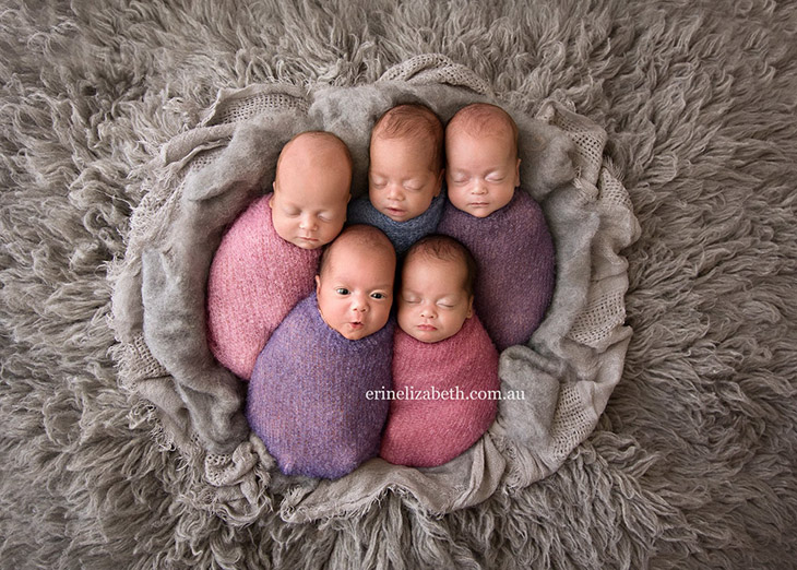 Most Adorable Photoshoot Of Mom And Newborn Quintuplets