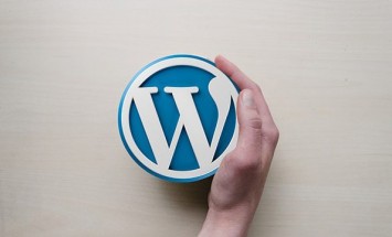A Guide on Fixing the 500 Internal Server Error in WordPress?