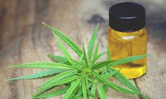 Medical Conditions CBD is Helping to Treat