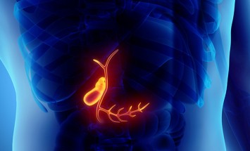 Gall Bladder: Causes, Symptoms and Care